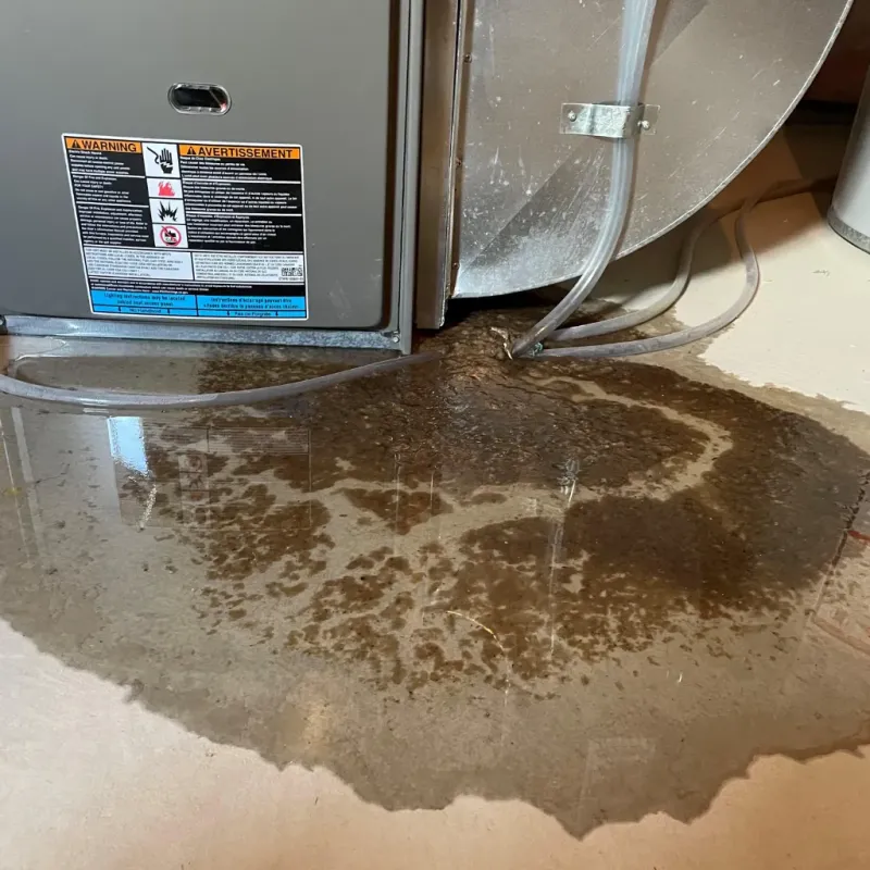 Appliance Leak Cleanup in Milbank, SD